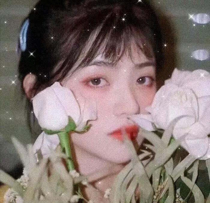 飞翔的魔女