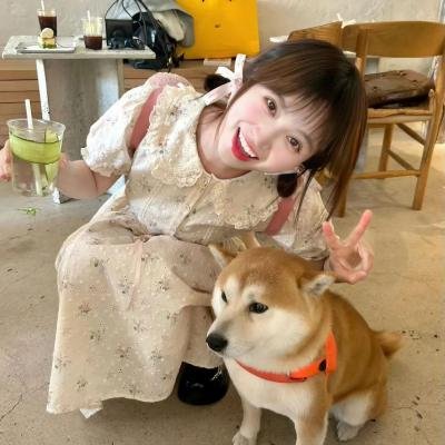 双喜临门